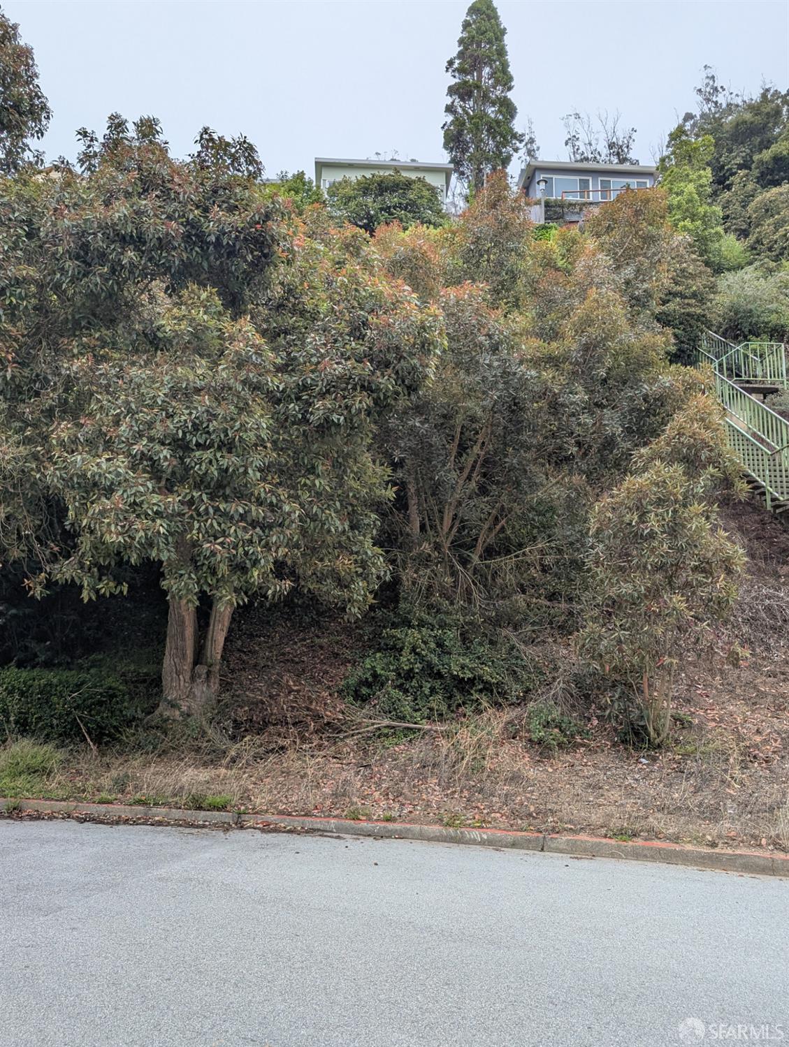 202 Oak Park Drive - Photo 3
