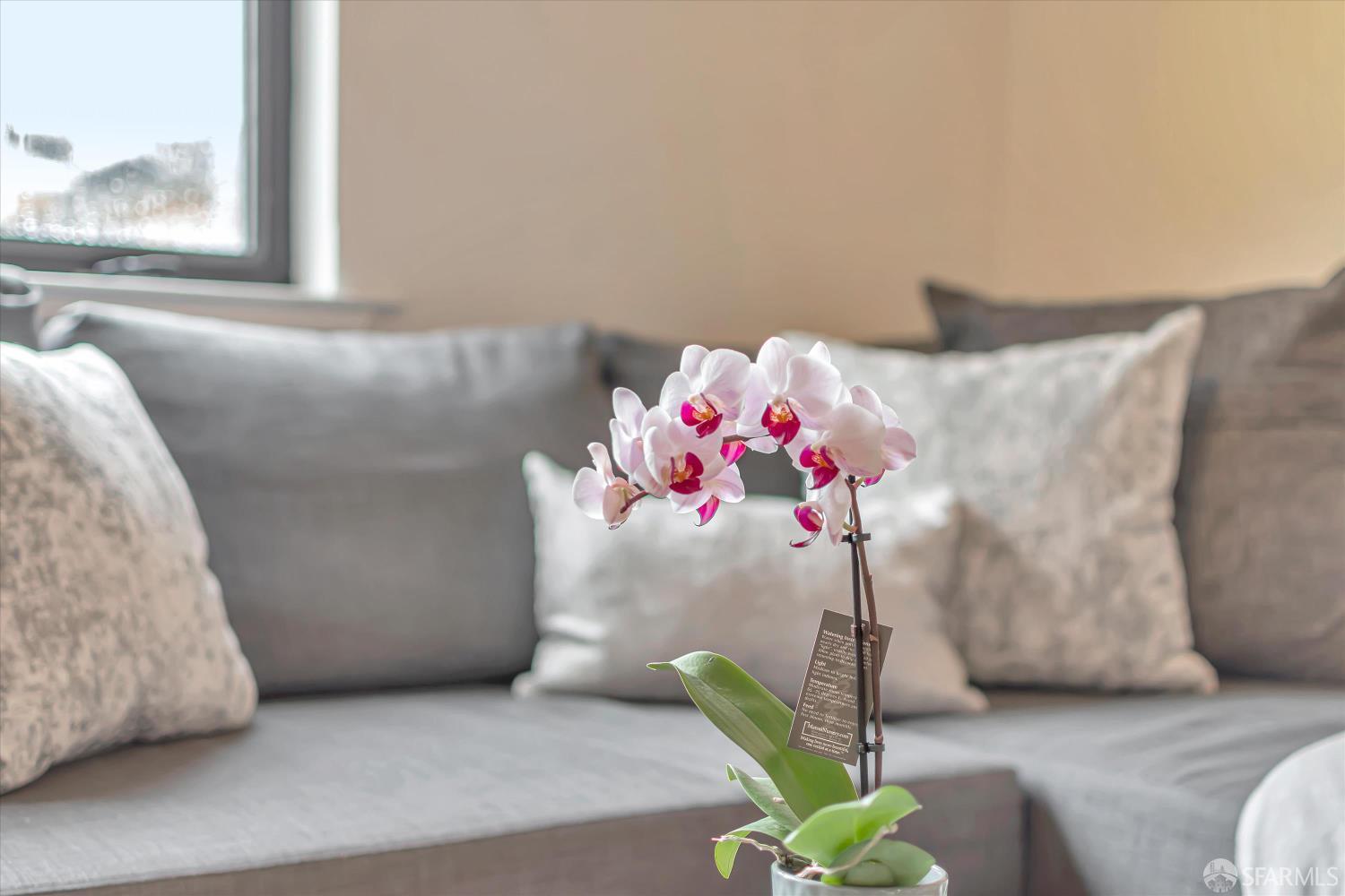 226 27th Street #10 - Photo 5