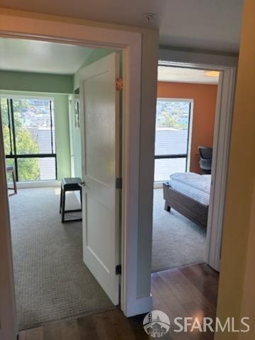 1629 Dolores Street #3 - Photo 5