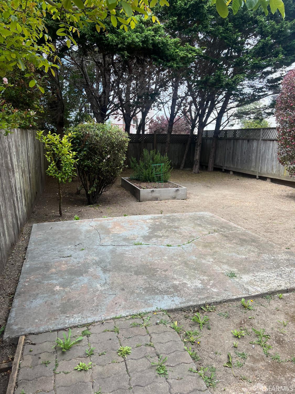 1206 Fulton Street - Photo 5