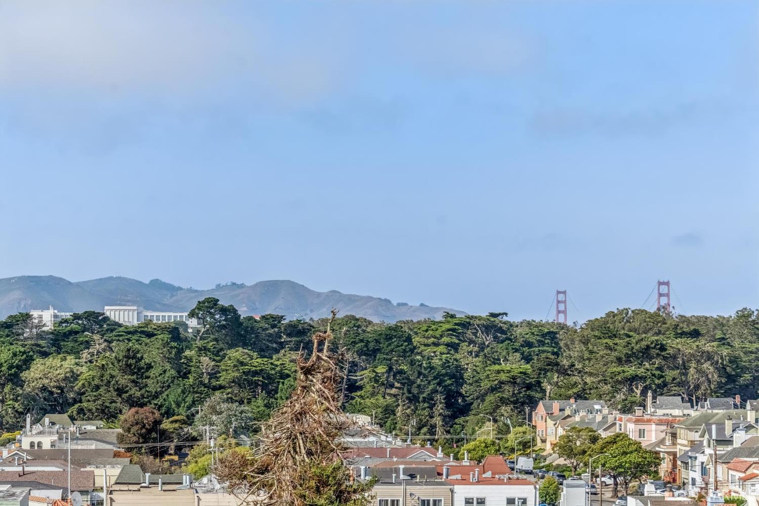 1408 31st Avenue #405 - Photo 4