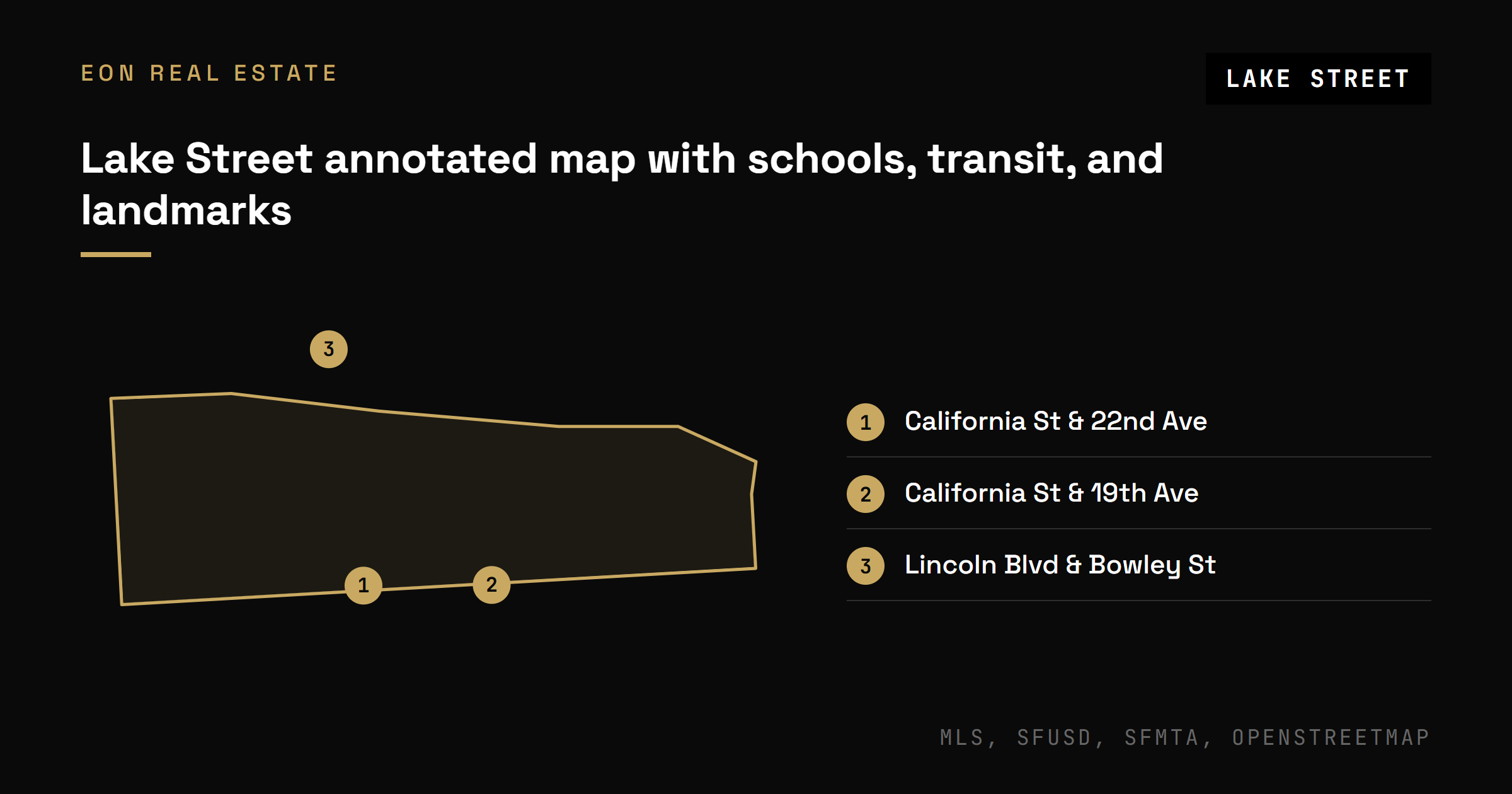 Annotated Lake Street map showing California Street transit stops, nearby schools, and Mountain Lake Park